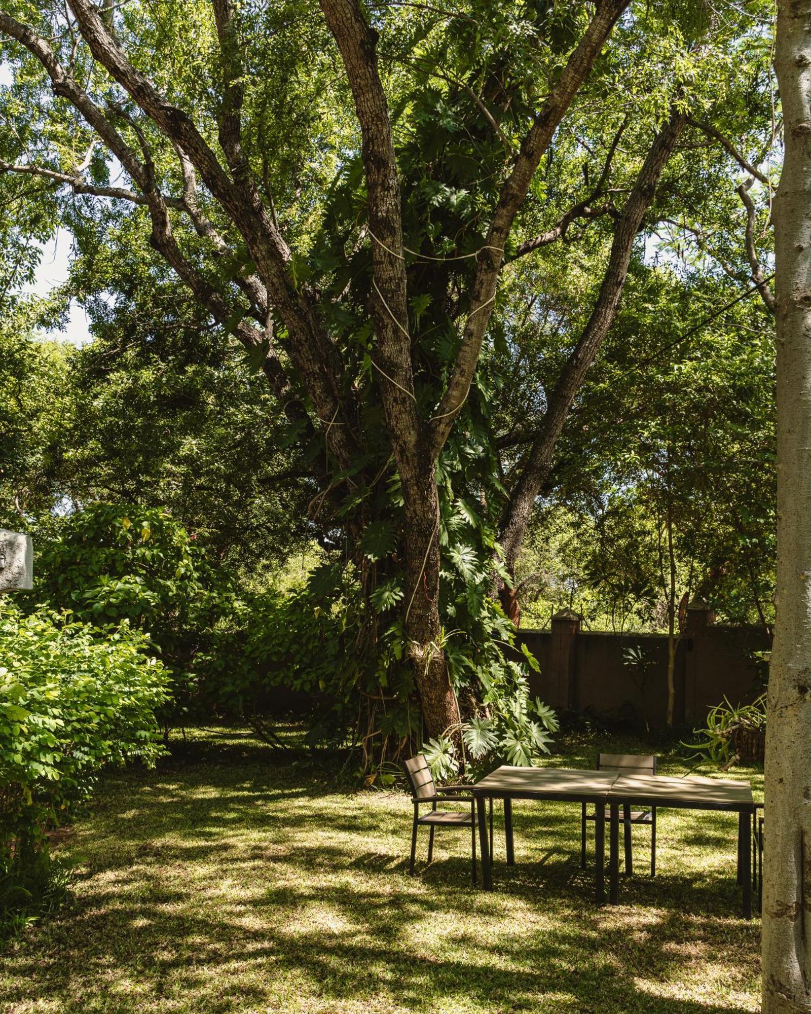 Jacaranda Lodge Victoriawatervallen Buitenkant foto